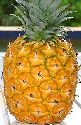 Fresh Pineapple