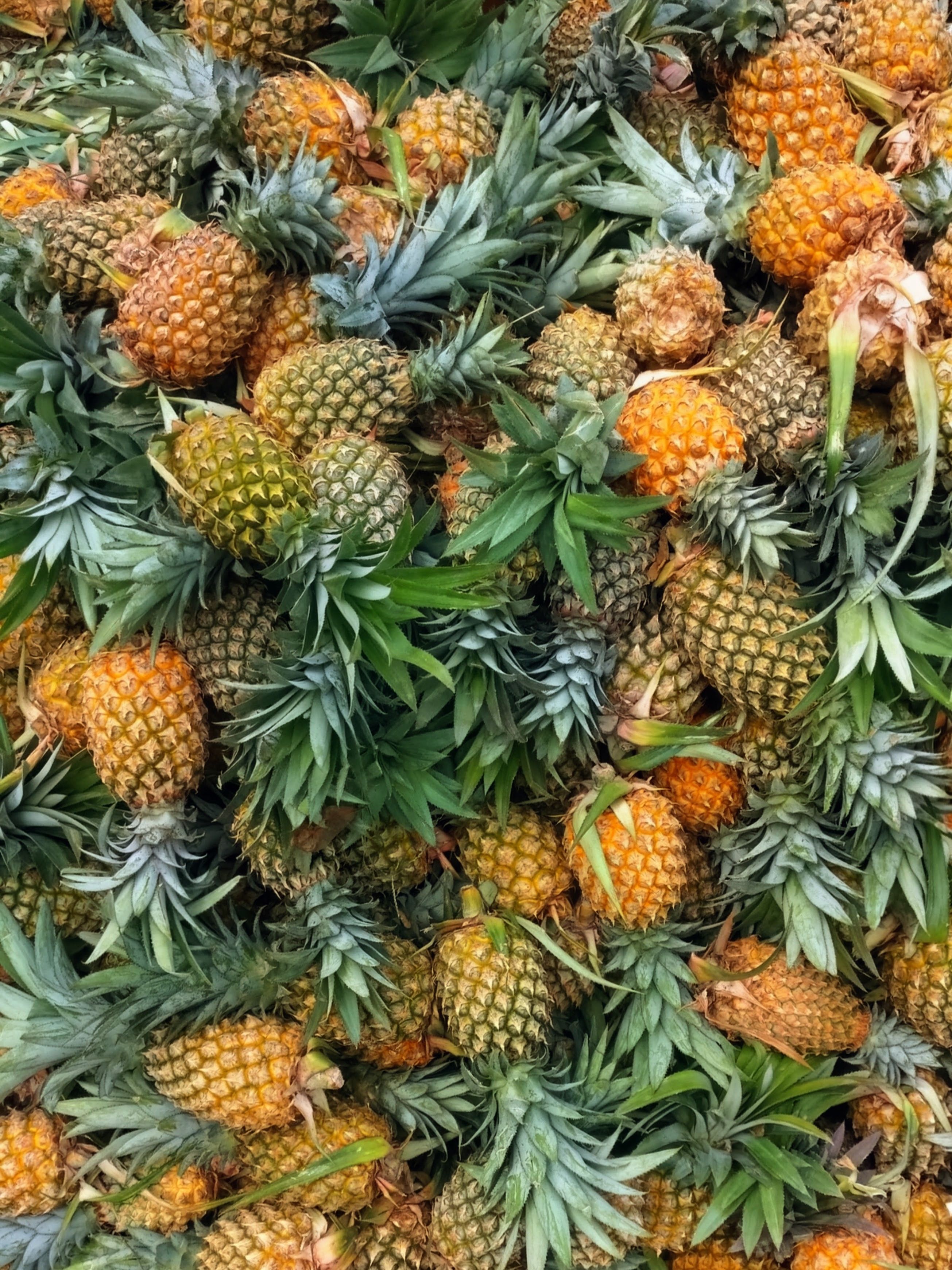 Fresh Pineapple view 5