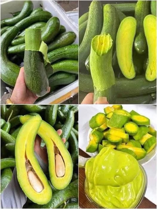 Frozen Avocado view 5