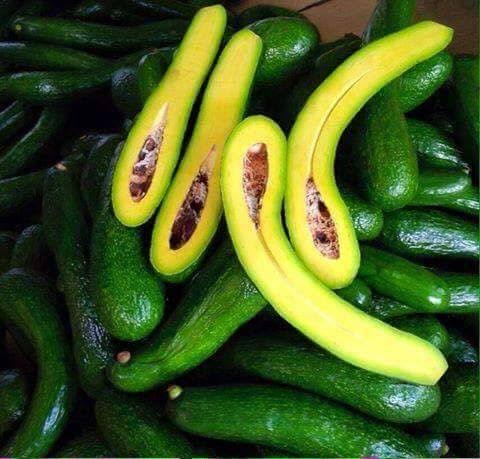 Frozen Avocado view 9
