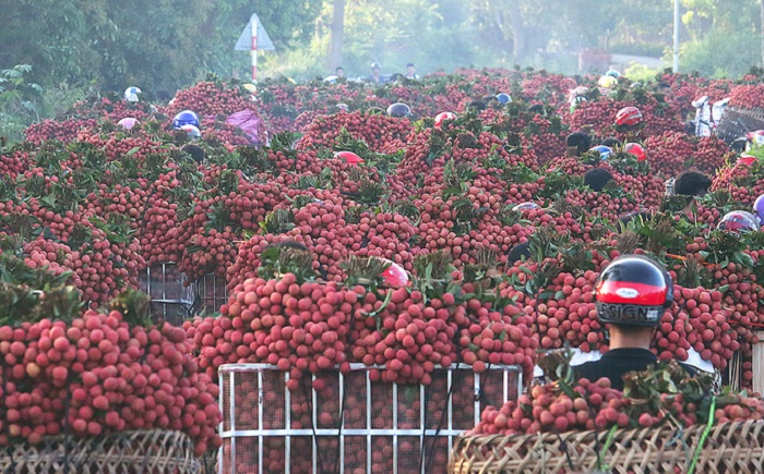 Frozen Lychee view 7