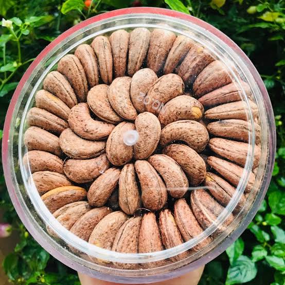Cashew Kernels