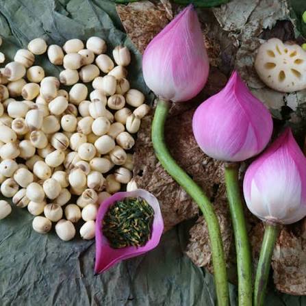 Lotus Seeds view 4