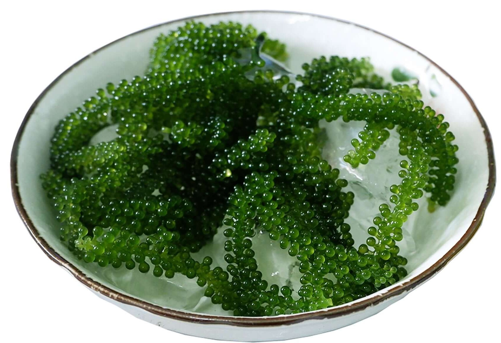 Sea Grapes view 2